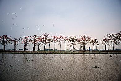 《俄罗斯方块99》联动《星之卡比：重返梦幻岛》活动 4月21日上线